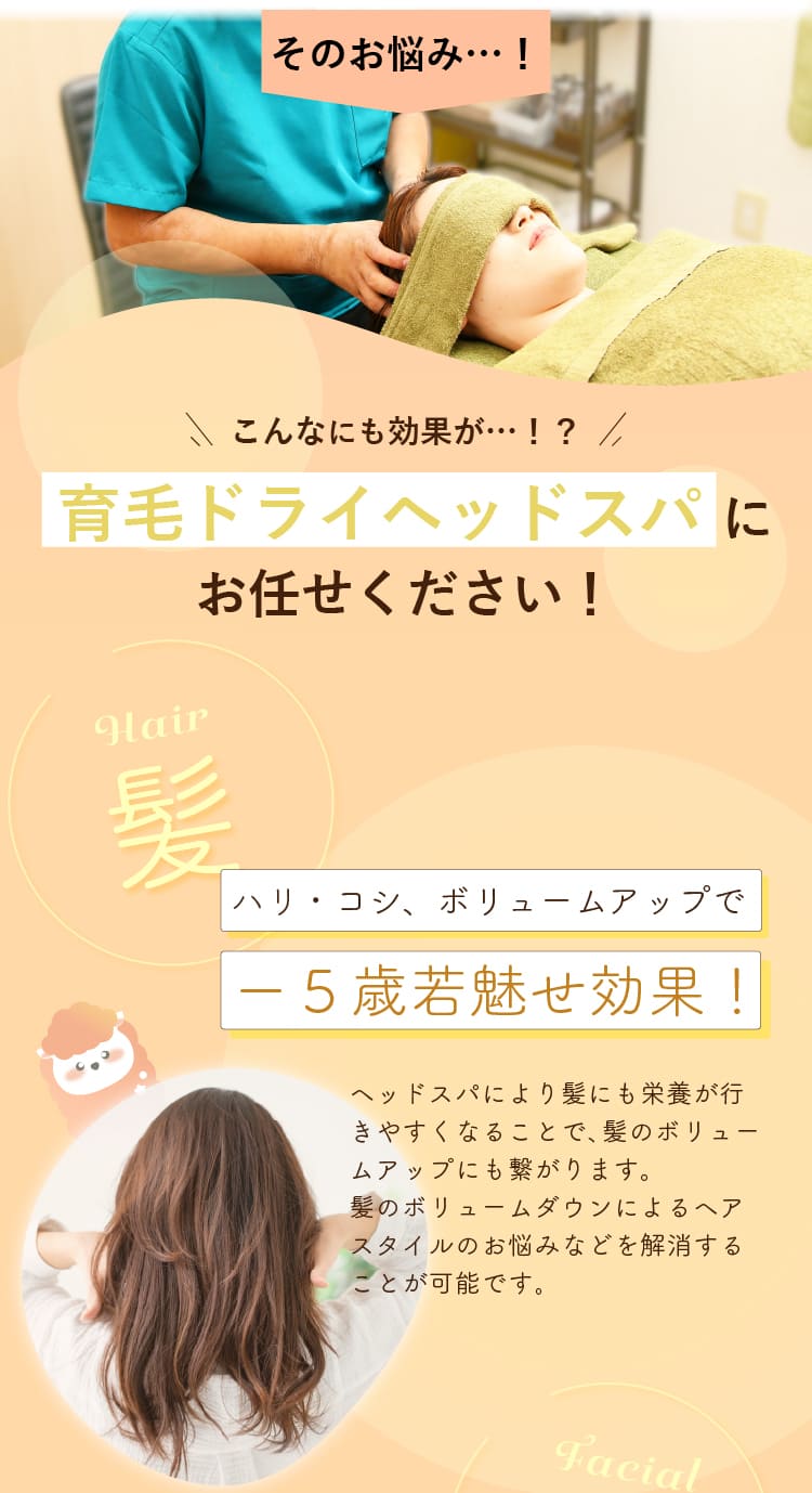 ドライヘッドスパにお任せください