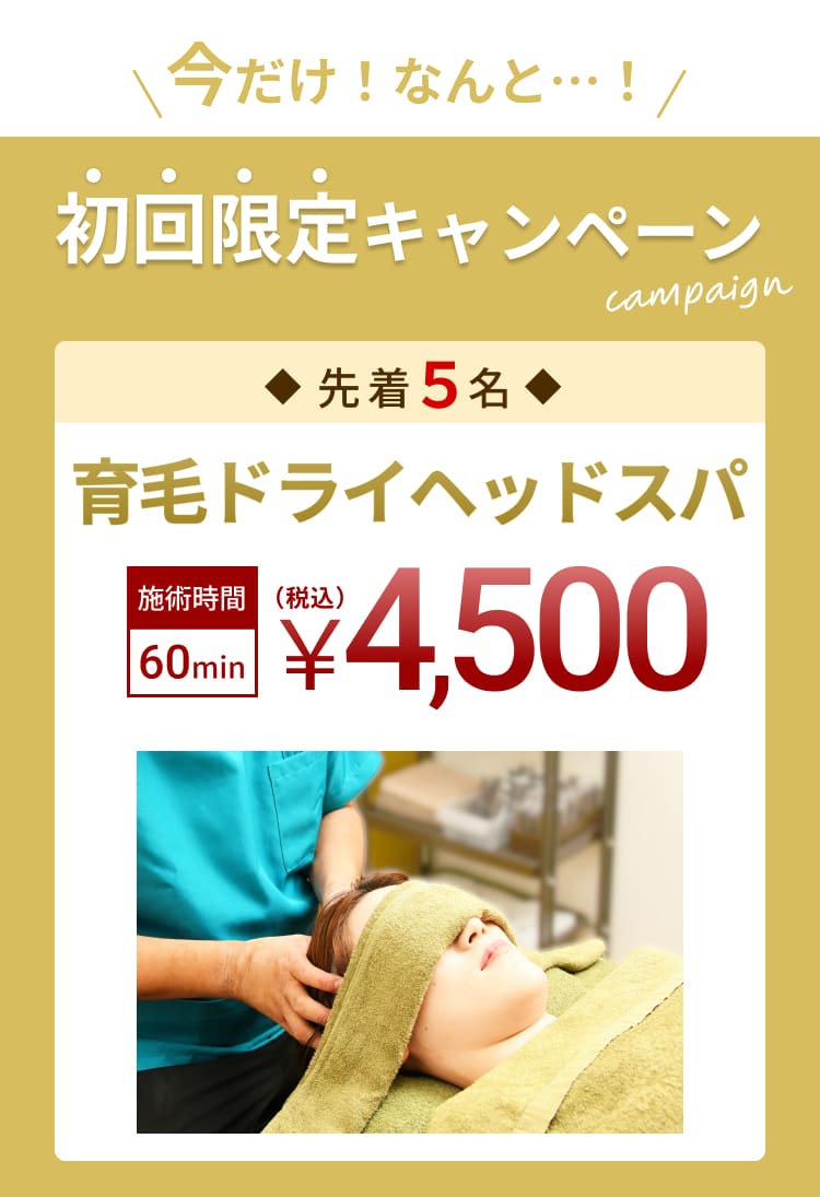 特別価格